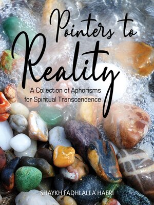 cover image of Pointers to Reality